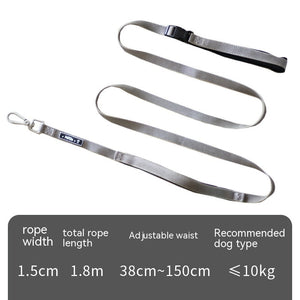 Discover the Ultimate Dog Leash for Your Active Lifestyle!