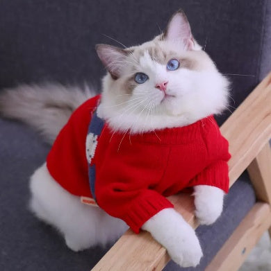 Autumn And Winter Sweaters For Pet