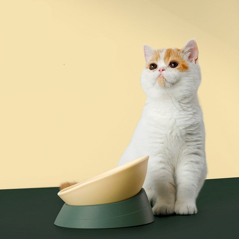 Anti-overturning double bowl