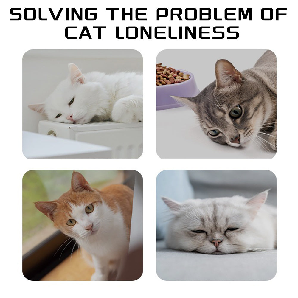 Dog Rope Toys Knots Chew Rope Toy