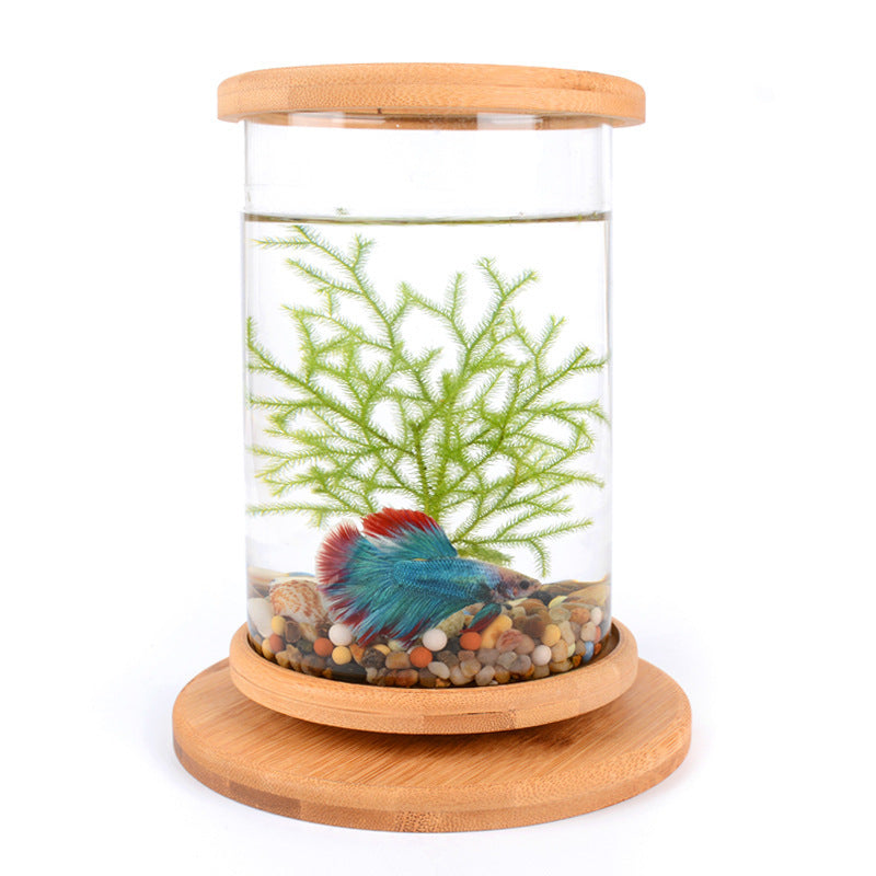 Bamboo Base Mini Fish Tank Decoration