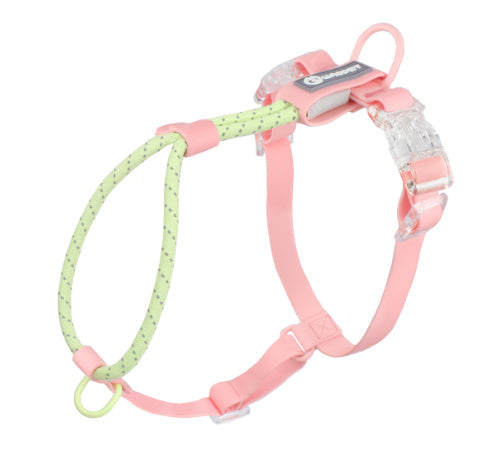 Solid Color Fashion Dog Hand Holding Rope