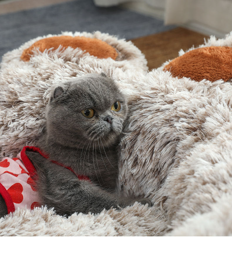 Winter Warm Hand-shaped Brush Pet