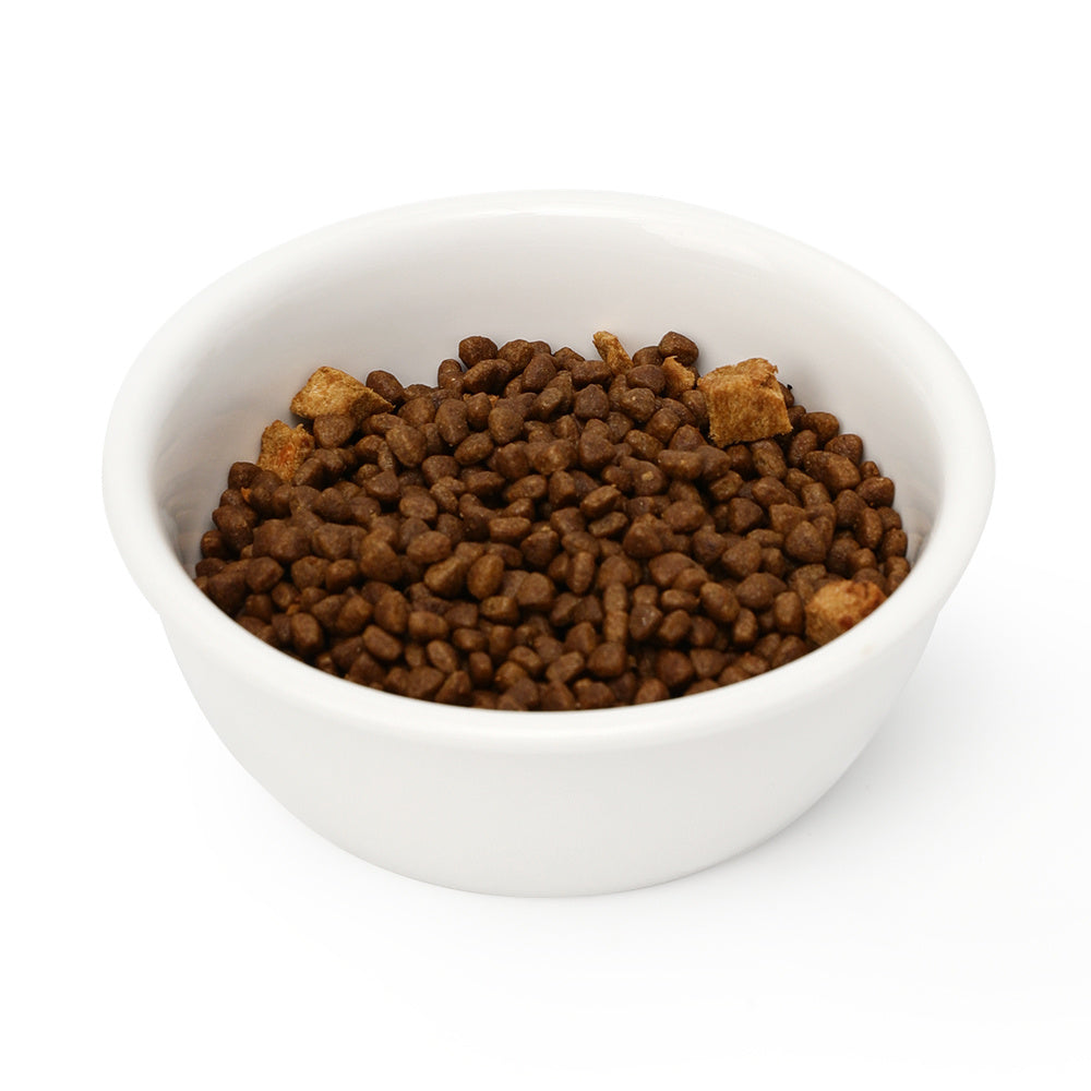 Cat Ceramic Water Bowl Tall Drinking