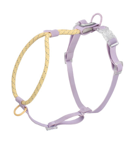 Solid Color Fashion Dog Hand Holding Rope