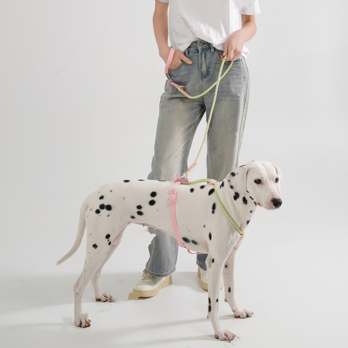 Solid Color Fashion Dog Hand Holding Rope