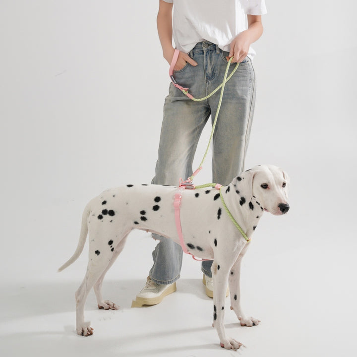 Solid Color Fashion Dog Hand Holding Rope