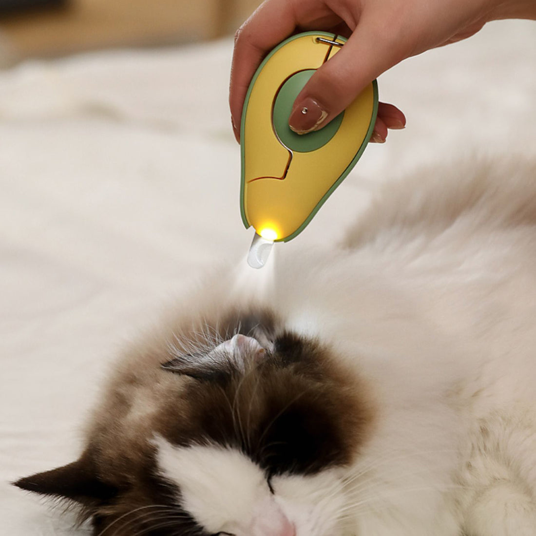 Professional Pet Nail Clipper LED Light