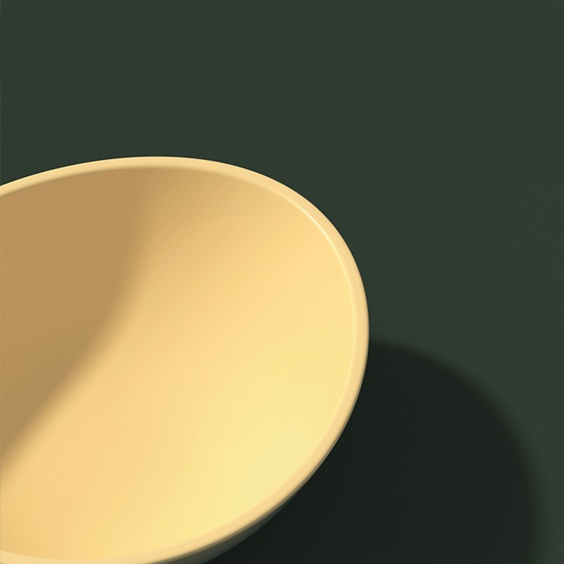 Anti-overturning double bowl