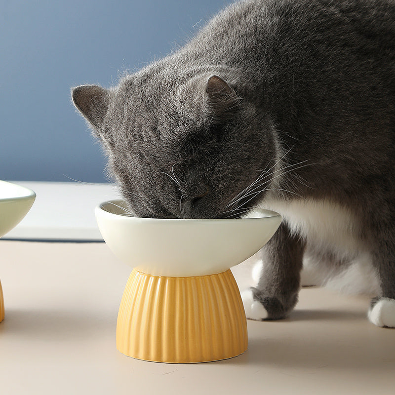 Ceramic Protection Vertebra Pet Bowl