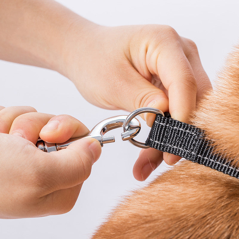 Pet Retractable Leash For Small Dogs