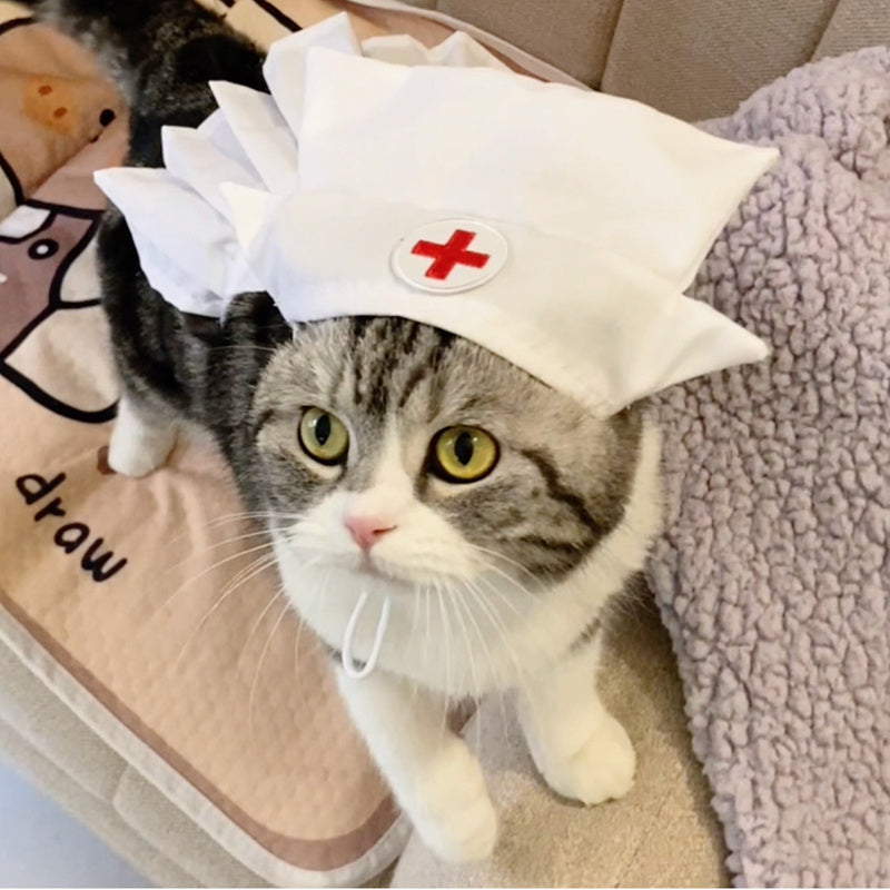 Personalized Cat Dress Set