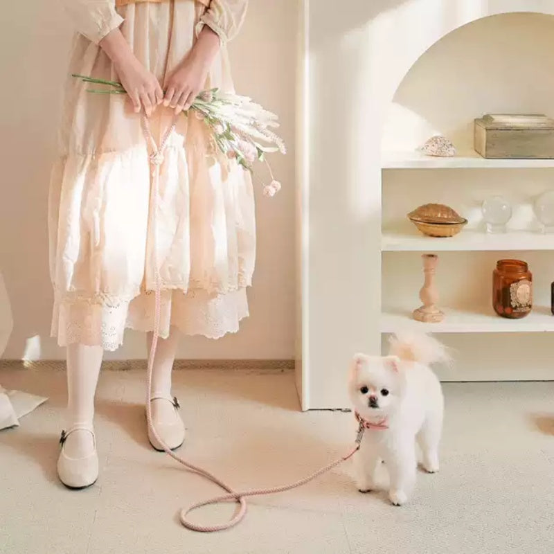 Dog Collar Leather Hand Holding Rope